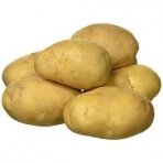 Bulvės didelės GRILL NL kg