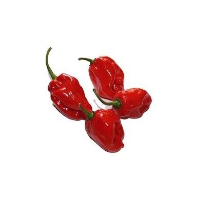 Paprika čili Habanero ypač aštri (fas. 50g) vnt