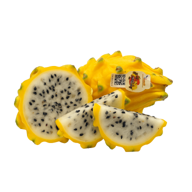 Kertainis geltonas, kaktusinis  Dragon fruit 1vnt