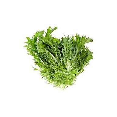 Salotos Frizze kg